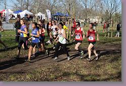 Begles 15.12.13 01 495 * 679 x 453 * (197KB)